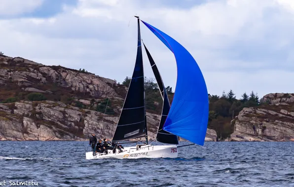The way, the wind, Norway, team, sails, Norway, sports yacht, Askoy