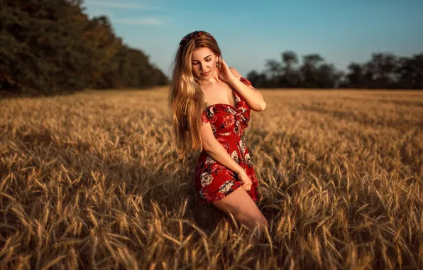 Picture wheat, field, the sun, trees, sexy, pose, model, portrait