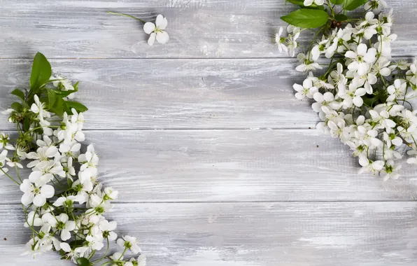 Picture leaves, flowers, background, spring