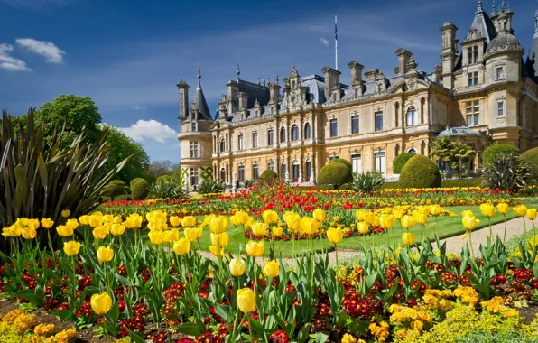 Flowers, Park, England, garden, tulips, mansion, beds, England