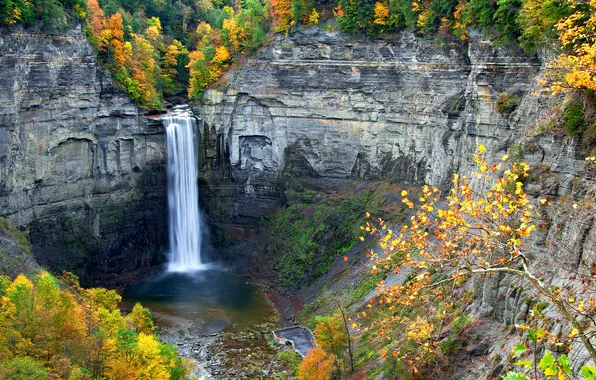 Autumn, trees, rocks, waterfall, stream