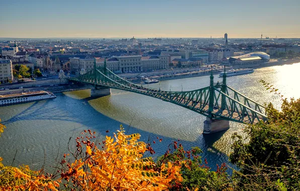 Autumn, trees, bridge, the city, river, ship, panorama, Hungary