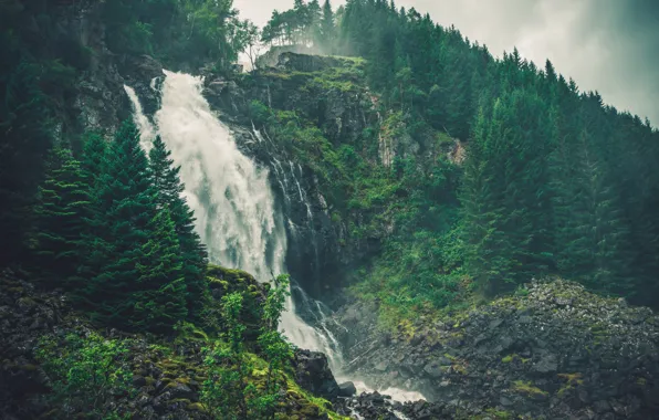 Picture Waterfall, Nature, Trees