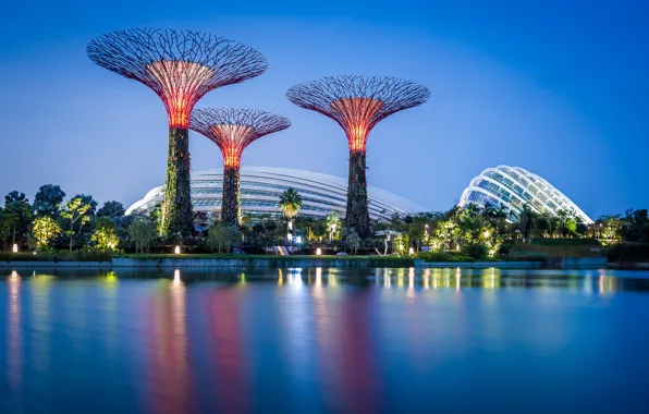 The sky, water, trees, design, lights, Park, the evening, Singapore
