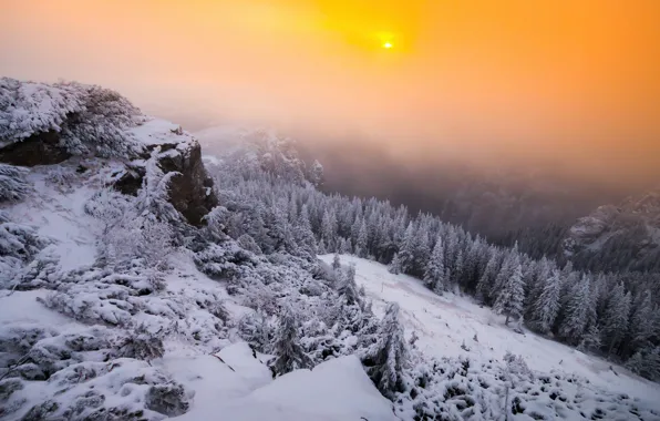 Wallpaper winter, mountains, fog for mobile and desktop, section ...