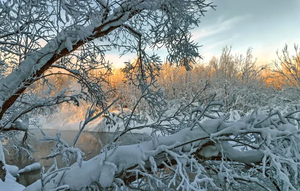 Picture winter, snow, trees, branches, river