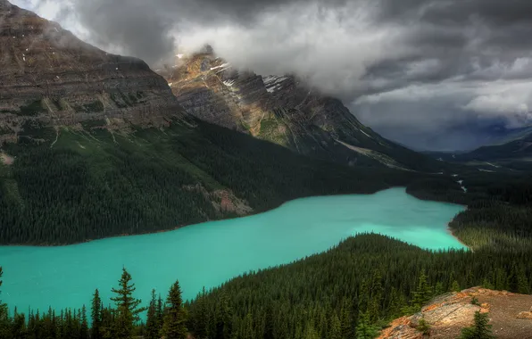 Forest, mountains, lake, USA, Peyto Lake