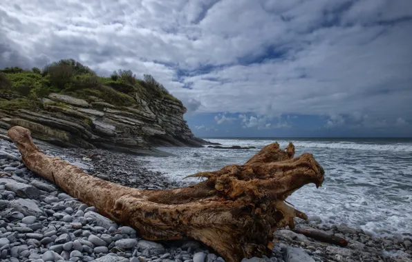 Stones, coast, France, snag