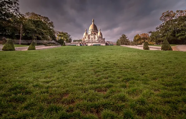 Wallpaper Park, France, Paris, grass, Montmartre, sacré-Coeur