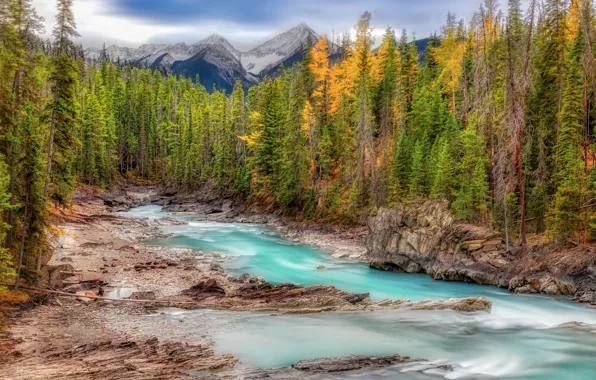 Autumn, forest, mountains, river