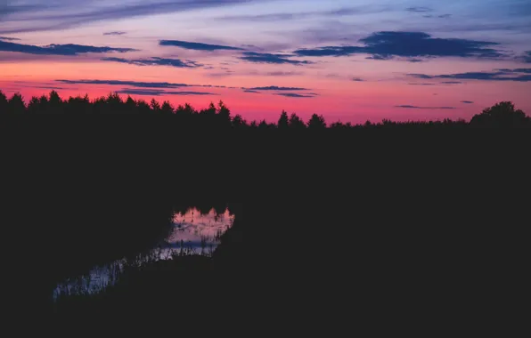 Sky, trees, sunset, clouds, Poland, magenta, silhouettes, pines