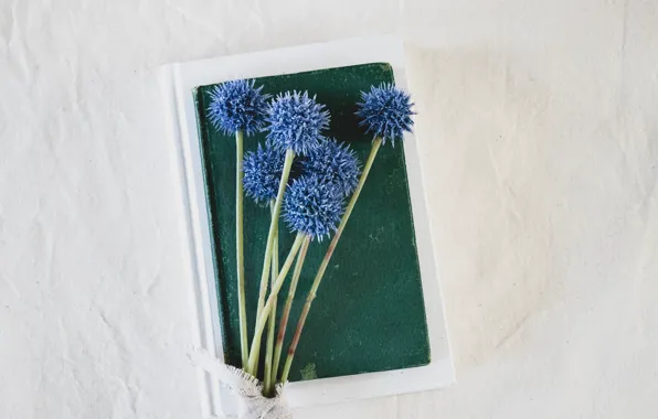 Picture flowers, background, fabric, book
