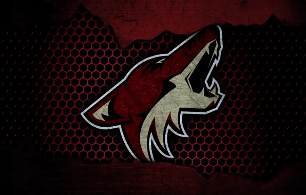 Wallpaper, sport, logo, NHL, hockey, Arizona Coyotes