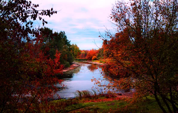 Autumn, river, treatment, colors, river, Autumn, fall