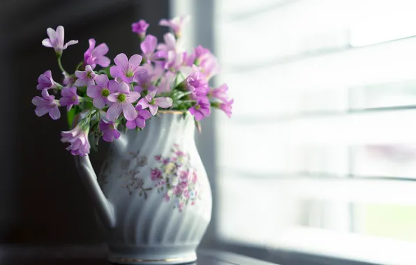 Flowers, background, vase
