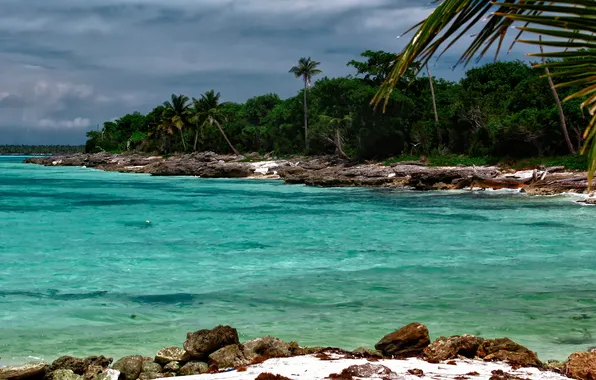 Picture beach, palm trees, the ocean, island, Bay, Lazur, Caribbean