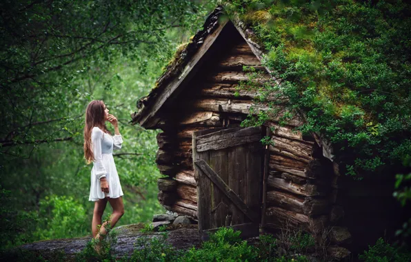 Forest, girl, house