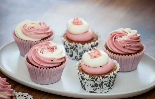 Food, cream, cakes, sweet, cupcakes