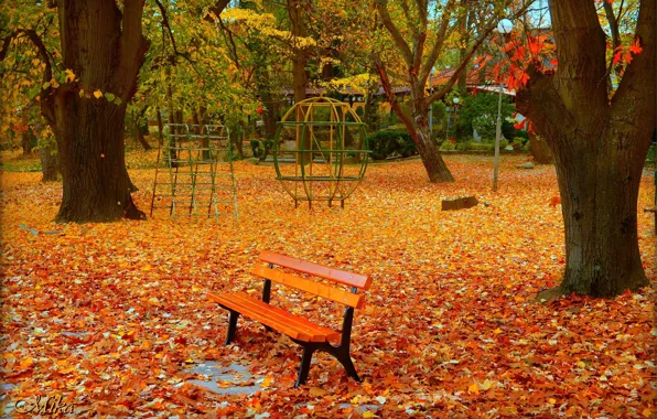 Autumn, Bench, Park, Fall, Foliage, Park, Autumn, Colors