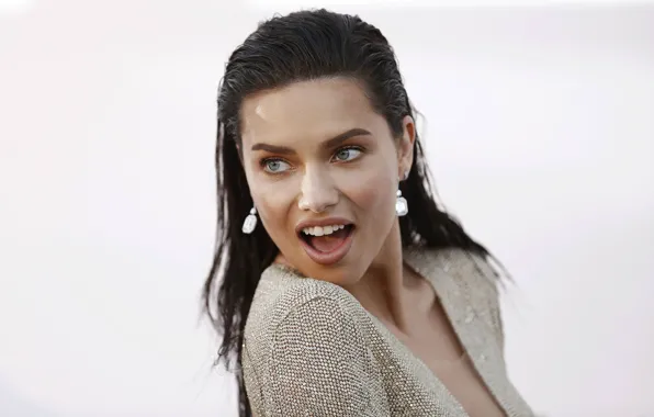 Look, pose, earrings, makeup, Adriana Lima, Adriana Lima, Hair, Victoria's Secret