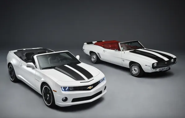 Chevrolet, Camaro, white, convertible, Chevrolet, Camaro, black sport stripes