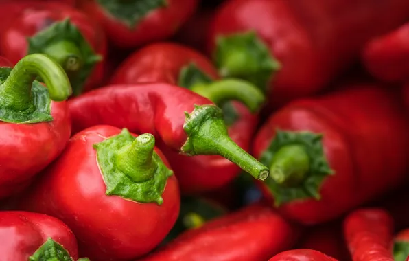 Macro, food, pepper