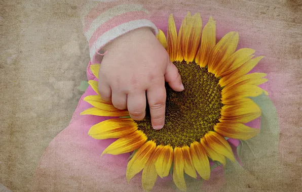 Picture style, background, hand, sunflower