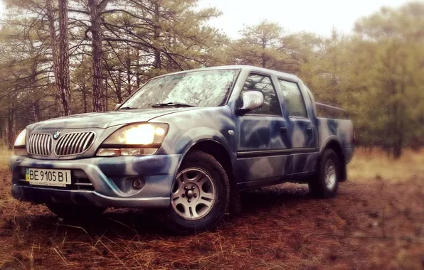 Picture car, pickup truck, Dadi Smoothing, Smoothing, Dadi