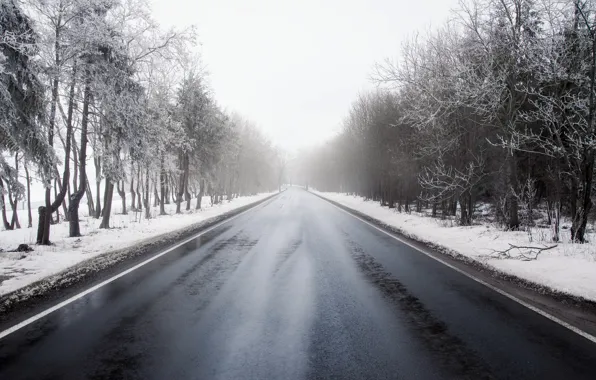 Picture winter, road, fog