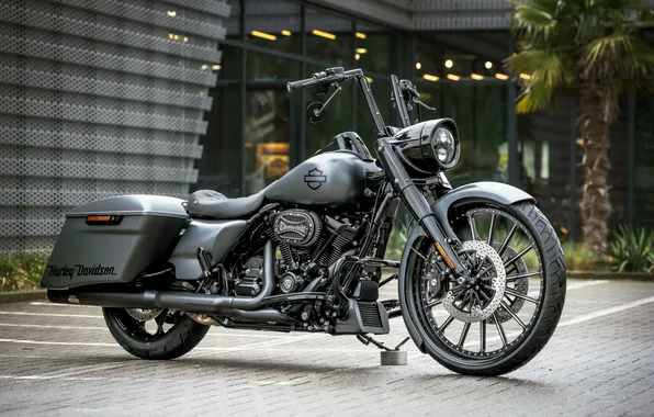 Picture road, special, phantom, Tuning, king, Harley-Davidson, customized, Thunderbike