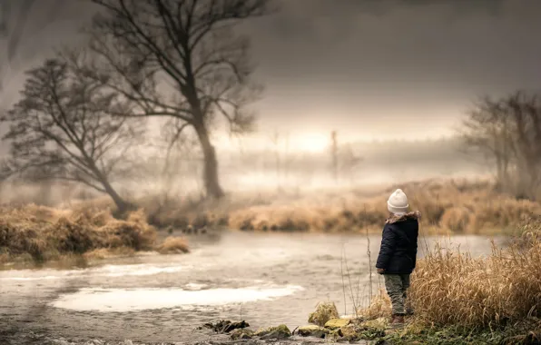 Picture trees, nature, children, stream, for