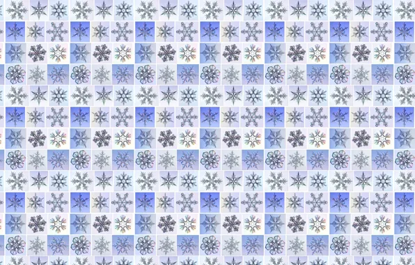 Picture snowflakes, mesh, figure, new year, stars, squares, grille, texture