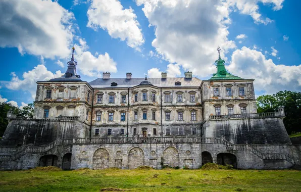 Picture greens, landscape, castle, Leo, Ukraine