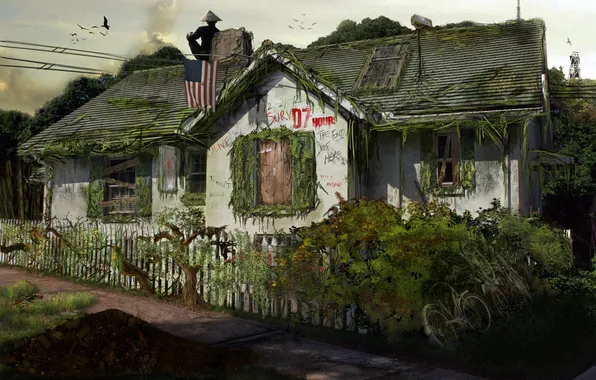 House, flag, America, pustosh