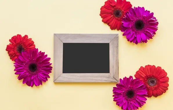 Picture flowers, spring, frame, colorful, chrysanthemum, wood, flowers, spring