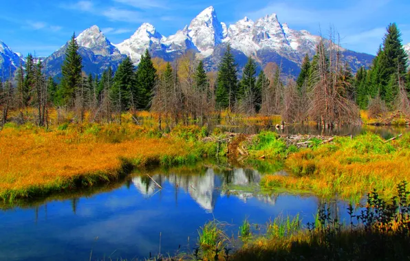 Autumn, the sky, grass, snow, trees, mountains, lake, reflection