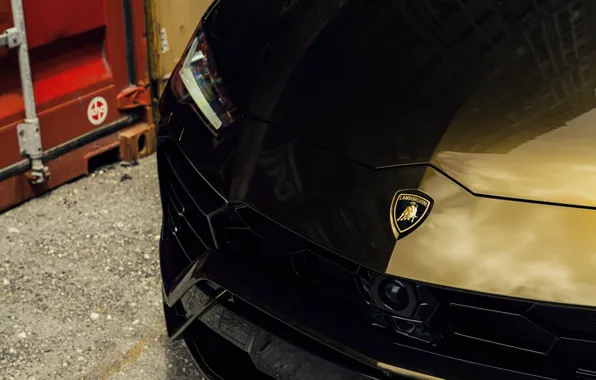 Picture Port, Lamborghini, Face, Urus, Face, VAG, Container, Bronze