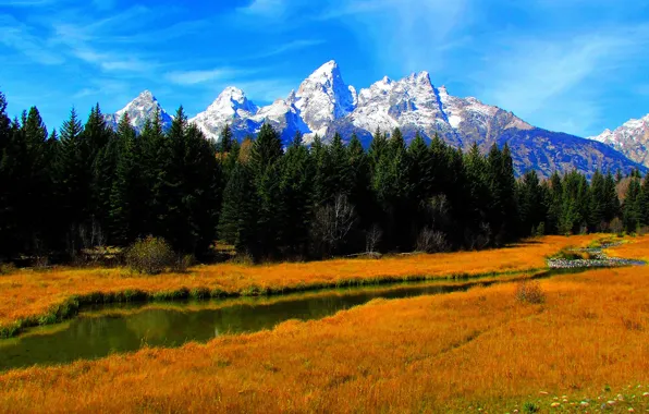 Picture autumn, mountains, the sky, grass, river, forest