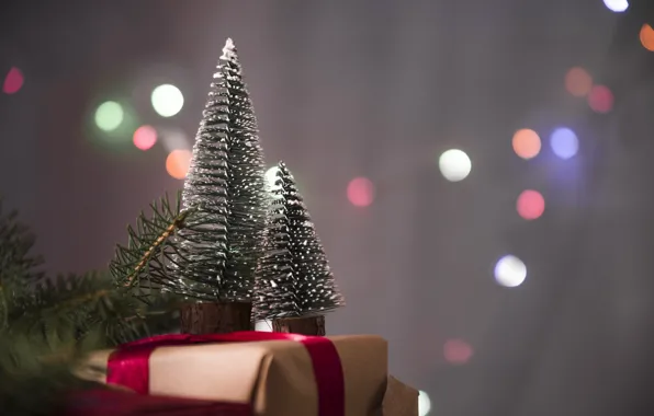 Picture holiday, gift, tree, new year, decor