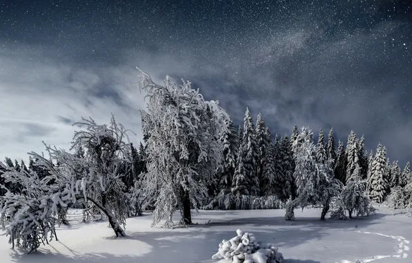 Sky, night, winter, fantastic, snowy, starry, milky way