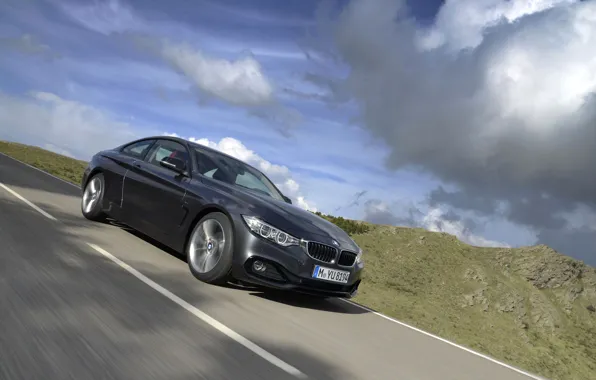 Road, nature, coupe, BMW, the fourth series