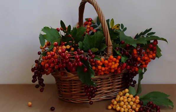 Picture summer, berries, basket, still life, Rowan, Kalina, berries wolf