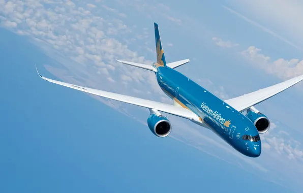 Picture Airbus, Wing, Airbus A350-900, A passenger plane, Airbus A350 XWB, Vietnam Airlines