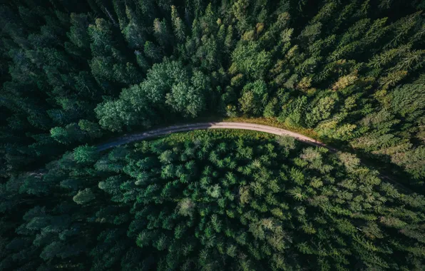 Picture road, forest, Sweden, the view from the top, Gavle