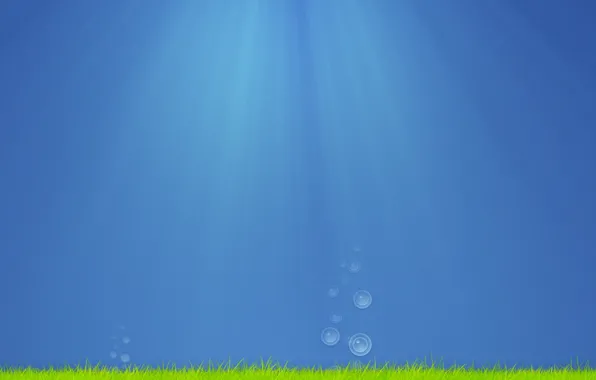 Sea, grass, water, drops, rays, light, algae, bubbles