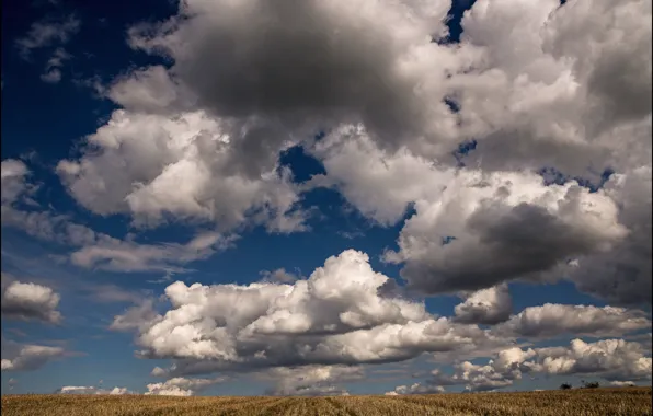Field, the sky, clouds, nature, Nature, sky, clouds, filed