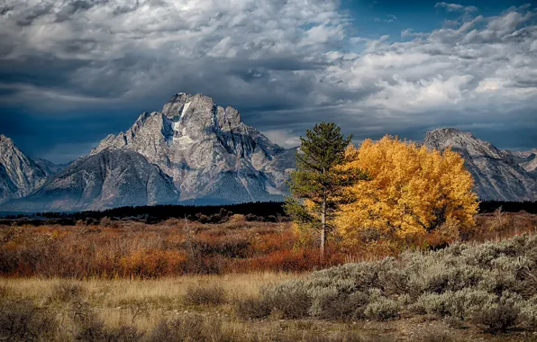 Wyoming, USA, Teton