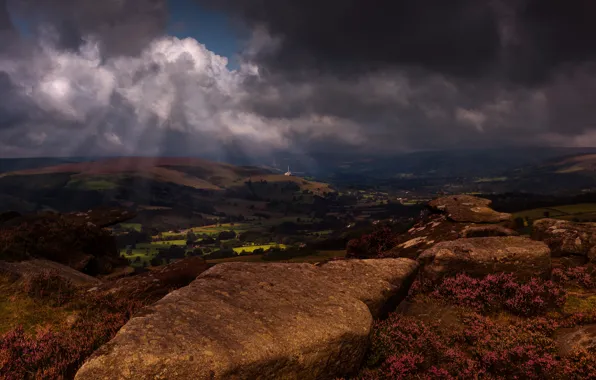 Field, the sky, clouds, rays, light, flowers, mountains, clouds