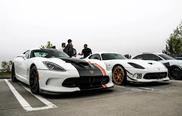 Picture Dodge, white, Viper, T/A