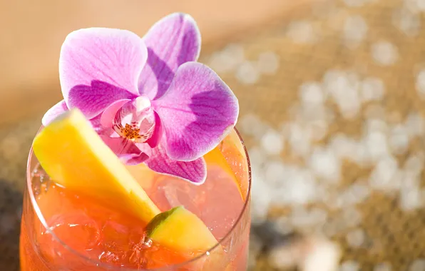 Ice, cocktail, fruit, Orchid